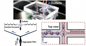 CellSorting